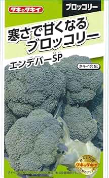 71i+TqEG1hL._AC_UF350,